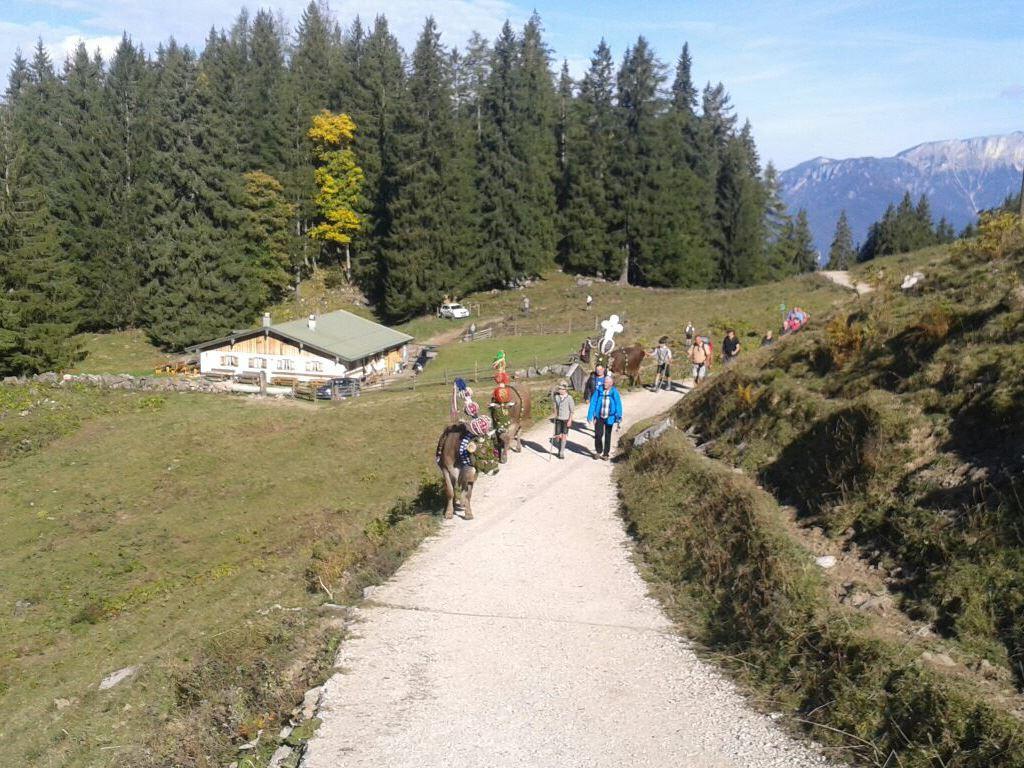 Wasserfallalm am Jenner